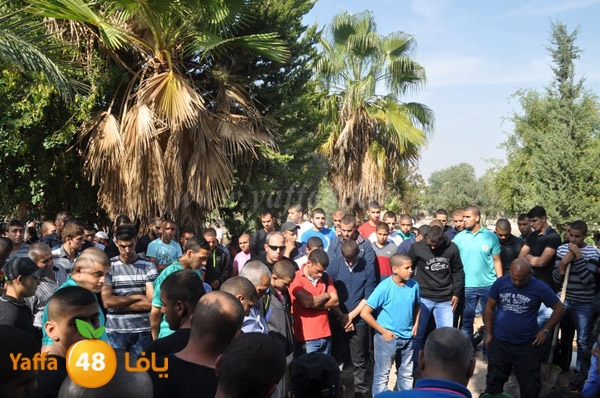 Janza yosef 3obra (17).JPG